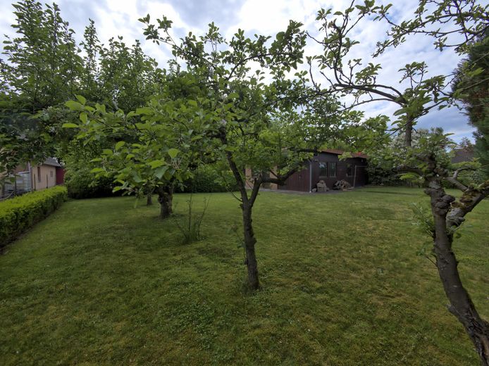 Gepflegtes Einfamilienhaus mit Nebengebäuden & großem Grundstück – Obstbäume