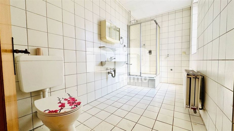Einzigartiges Immobilien-Ensemble: Zwei Wohnhäuser MFH + EFH mit Halle auf ca. 5.300 m² Grundstück – Haus 2 EG Badezimemr / Dusche
