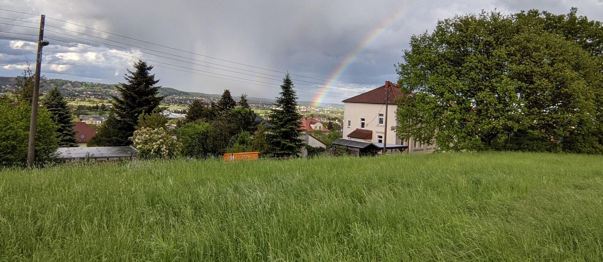 Blick vom Feld aufs Grundstück