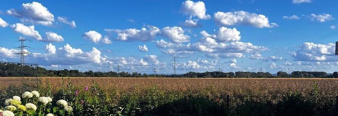 Gartenblick