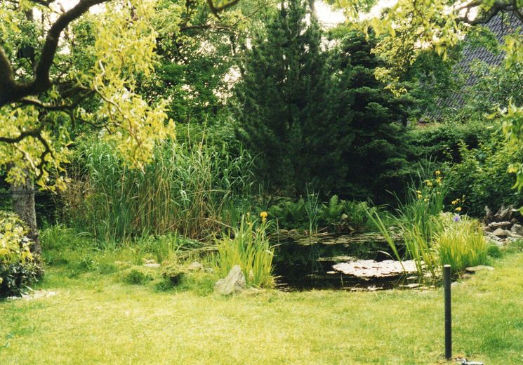 Provisionsfrei! Charmantes Einfamilienhaus in ruhiger Sackgasse im Herzen von Lilienthal – Teich