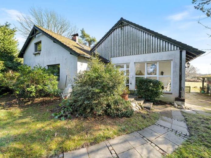 Ein Grundstück im Grünen von Thesdorf – Foto 1