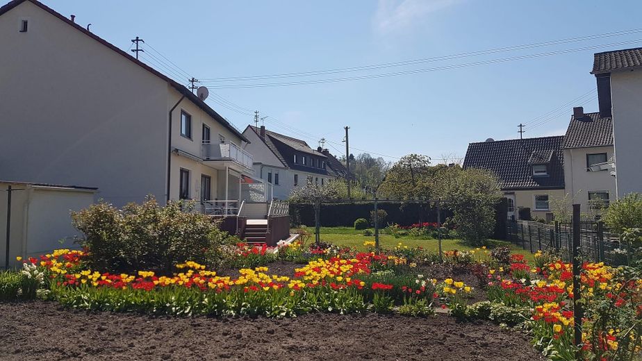 Garten Richtung Terasse