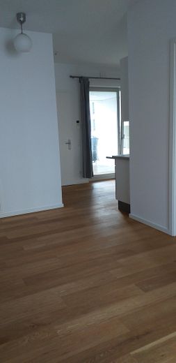 Durchgang Wohnraum-Küche