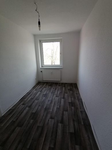 Ländliche und preiswerte 3 - Zimmerwohng. in Ostseenähe in herzlicher Hausgem. zw. Klütz u Grevesm. – Foto 37