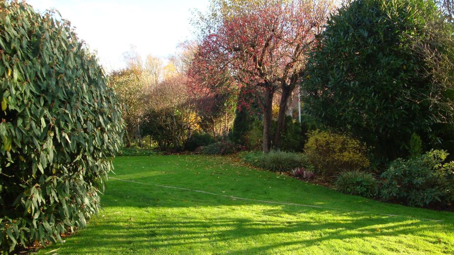 Gartenblick nach Hinten