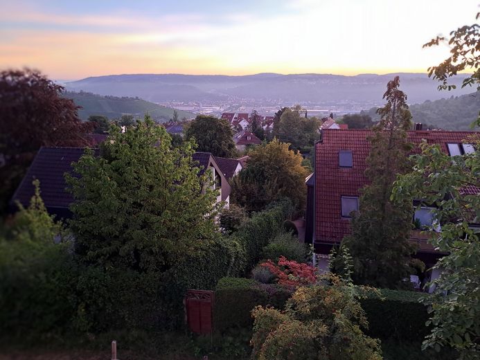 Blick ins Neckartal Ost