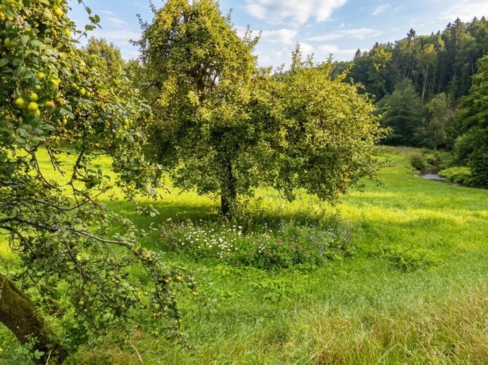 Baugrundstück Weigendorf 2 ki 006