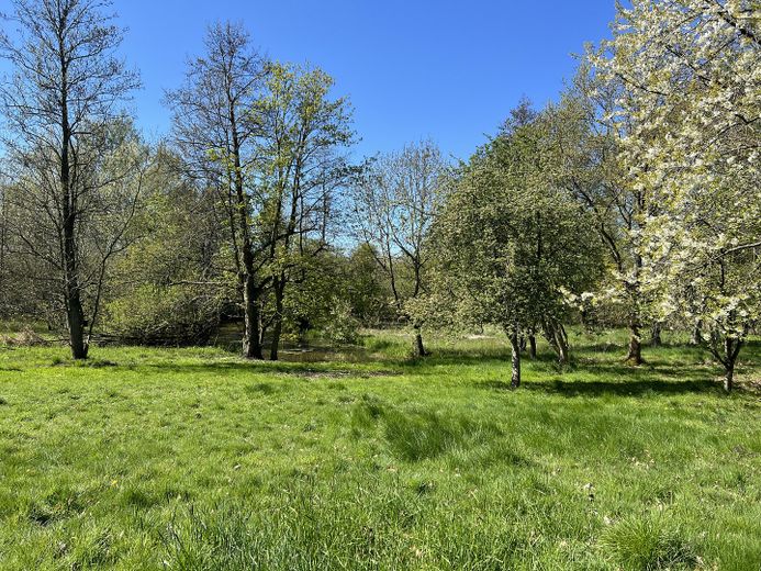 1. Mai 2026