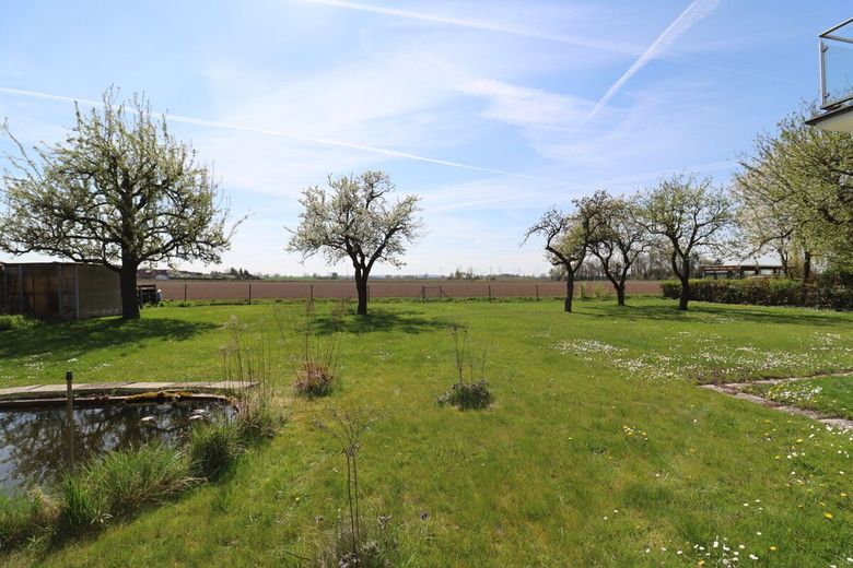 Großes EFH mit PV-Anlage, Kamin, Keller, Garagen und herrlichem Garten ! – Garten