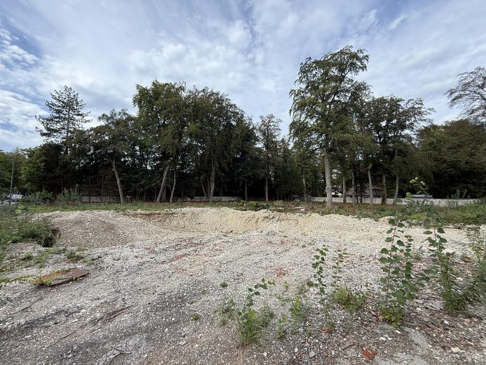 Terreno soleggiato con parco – divisibile e senza provvigioni – Foto 3