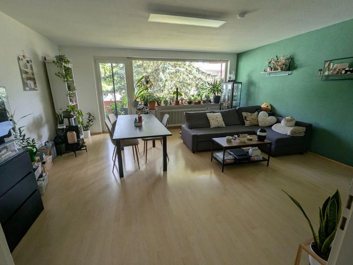 Wohnzimmer inkl. Zugang Balk.