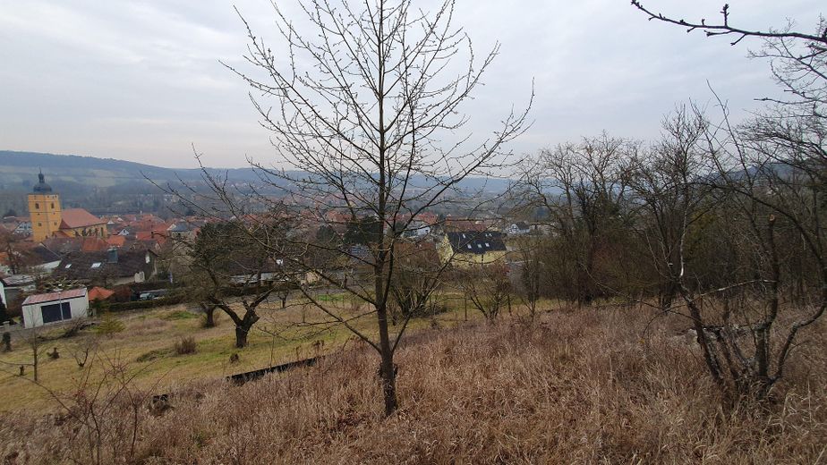 Blick übers Maintal
