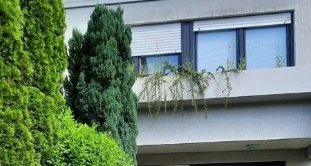 Strassenansicht-Hauseingang