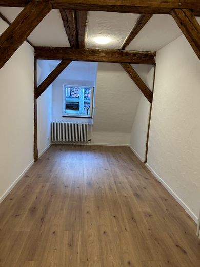 2 renovated income-generating properties as a package (commission-free) – Zimmer Ro