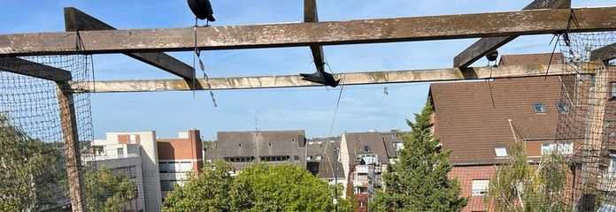 Tolle Maisonette-Wohnung mit Dachterrasse in Neuss-Zentrum – große Dachterrasse