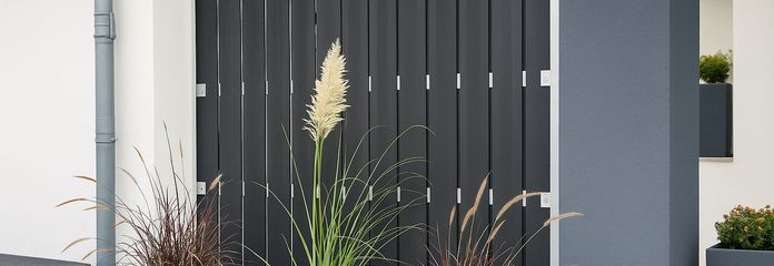 Detailbild Vorgarten 