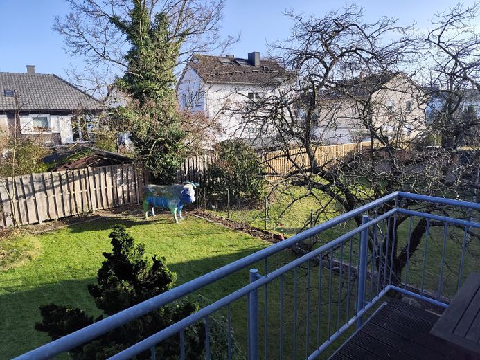 Blick in den Garten