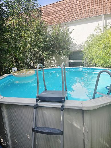 Tu sueño de tener un caballo en casa se hace realidad – Pool