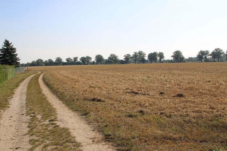 Provisionsfrei: Exklusives EFH mit Remise bei Potsdam & Berlin – Feldblick vom Garten