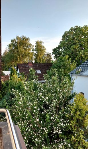 Südblick vom DG Balkon