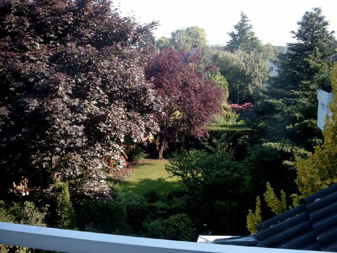 Aussicht vom Balkon