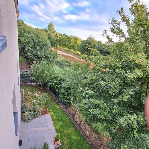 Garten - Südterrasse