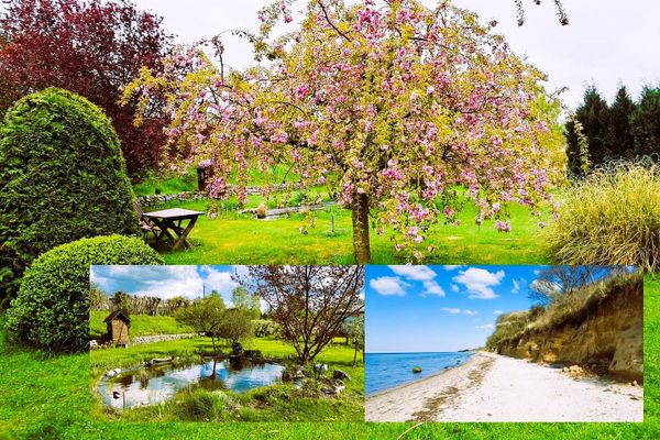 Ostseenahes Anwesen mit eigenem Wald!