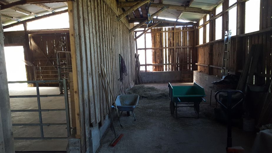 Ideal für Pferdehaltung - Einfamilienhaus, Baugrundstück, Stall und Hausweide / Resthof – Stall