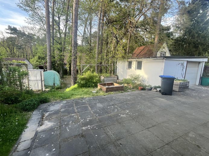 Blick in den Garten 