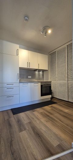 Wohnen & Küche kombiniert