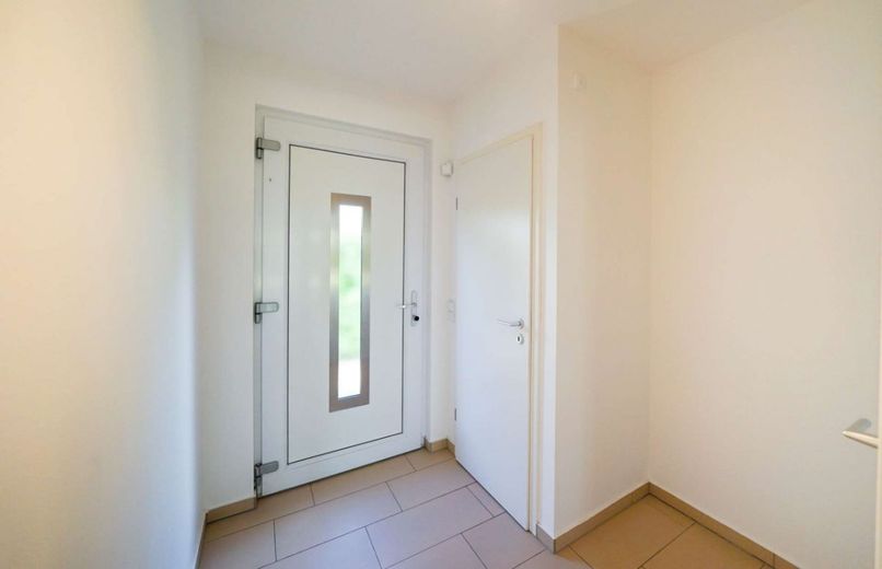 Bild 19