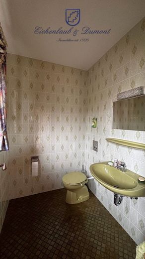 Großzügiges 1-FH + ELW, freistehend mit 2 Garagen, Kamin + Wintergarten – Gäste-WC EG