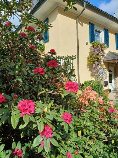 Freistehendes Architektenhaus mit einem großzügigen Wintergarten – Foto 4