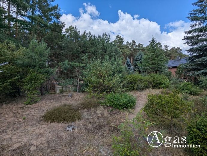 Vollvermietetes Mehrfamilienhaus mit 3 Wohneinheiten in Borkheide – Grundstück
