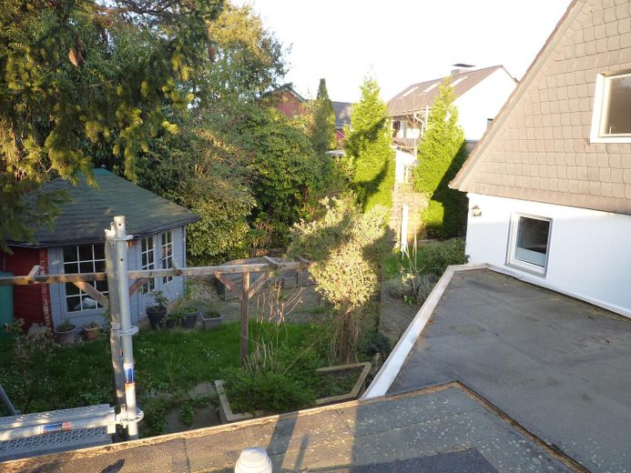 Blick in Garten