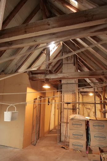 Loft+Wohnung+Dachrohling+Garten in Sagard/ Rügen – Dachboden mit 2 Räumen
