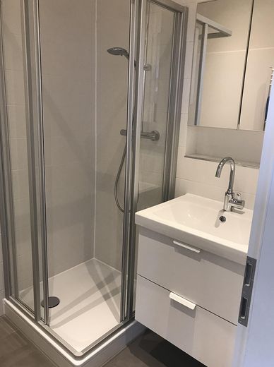 Furnished, bright 1-room apartment at the park – Badezimmer Detail