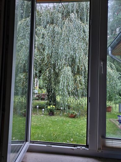 Ruhiges Wald-Idyll in Stolzenhagen ca.. 400 qm Bauland von privat – Foto 2