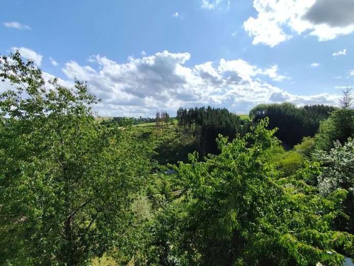 grüne Idylle