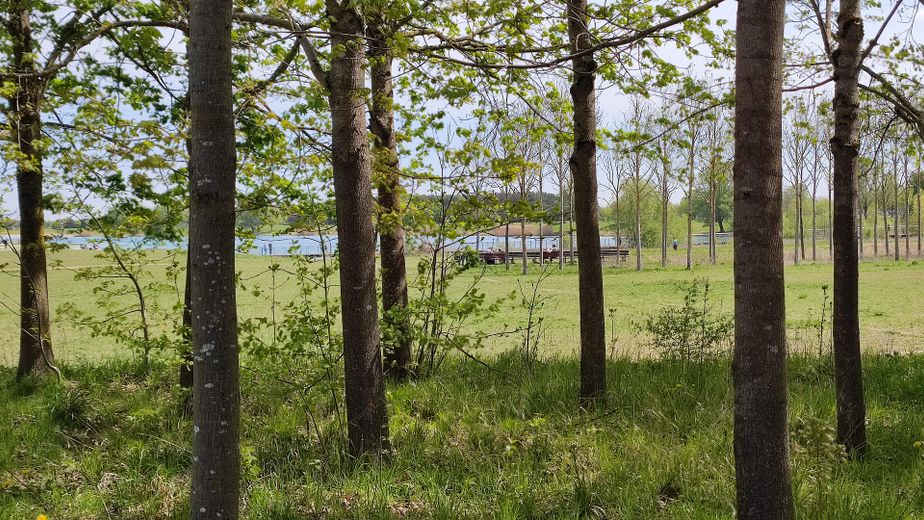 Park