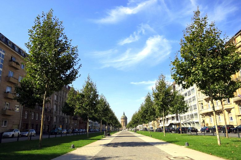 Grüne Allee direkt vor der Tür