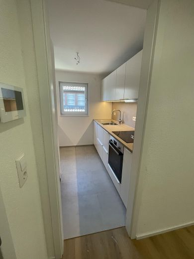 Ludwigsburg-Hoheneck’te ankastre mutfak ve garajlı, modernize edilmiş 2 odalı daire – Foto 4