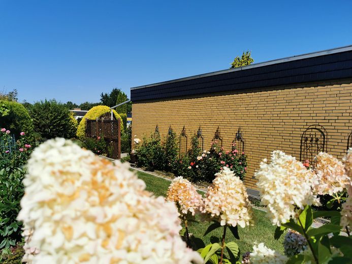 Gepflegter Bungalow mit parkähnlichem Garten – Seitenansicht
