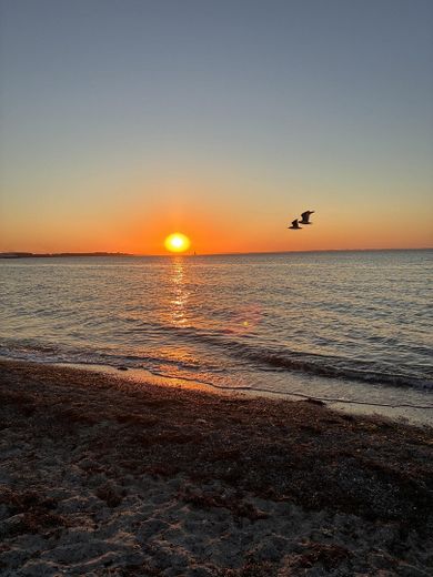 DHH-Juwel 90 qm mit Ostsee-Blick und Naturstrand – Abendstimmung Strand