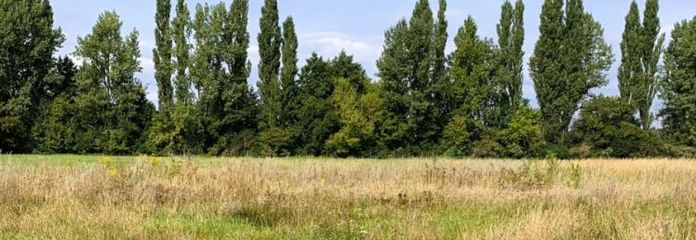 Veel ruimte voor royaal wonen en meerdere generaties