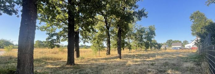 Blick Nord-Ost