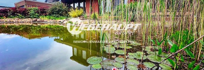 Teich Sued-West Ansicht