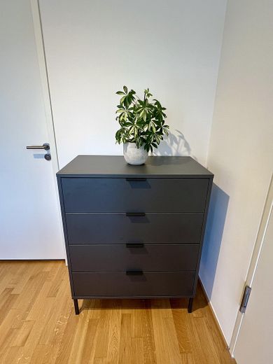 Möblierte 2-Zimmer-Wohnung in erster Reihe zum Main – Schlafzimmer (Kommode)