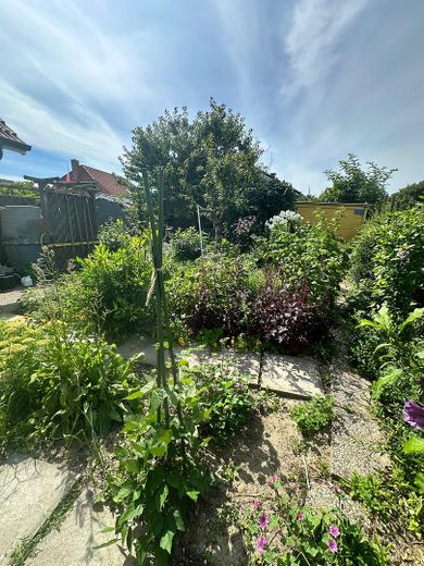 Ruhiges, sonniges & energieeffizientes Einfamilienhaus direkt „hinter’m Deich“ nahe Büsum – Gemüsebeete